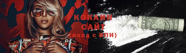 2c-b Бородино