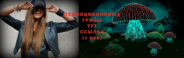 2c-b Бородино