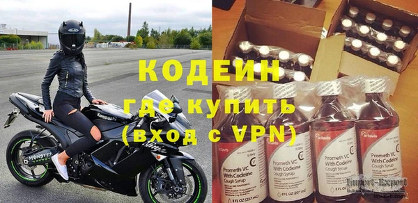 2c-b Бородино