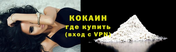 2c-b Бородино