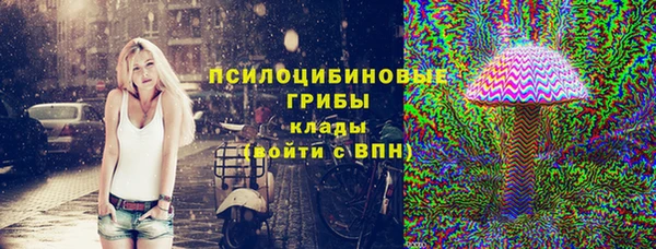 гидра Бронницы