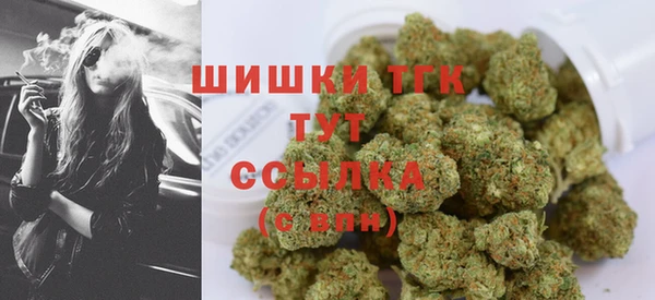 2c-b Бородино