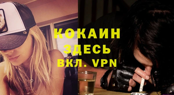 гидра Бронницы