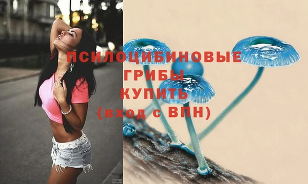 гидра Бронницы