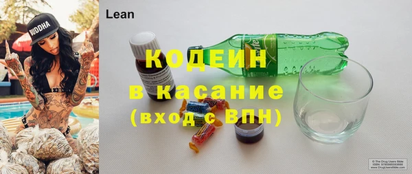 2c-b Бородино