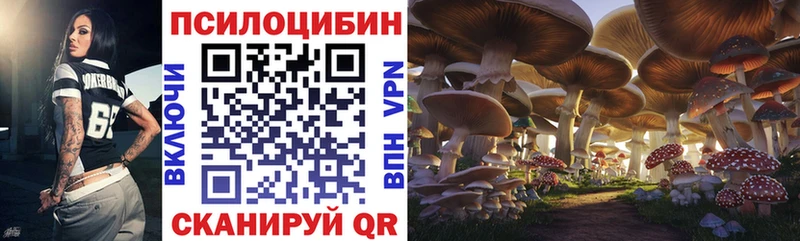 Псилоцибиновые грибы мицелий  Дагестанские Огни 