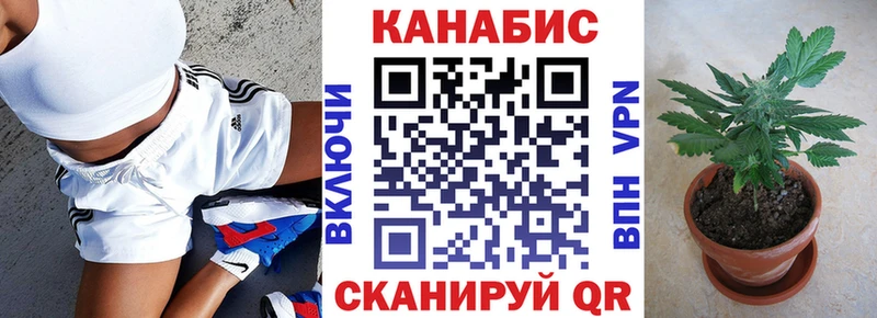 Каннабис гибрид Дагестанские Огни